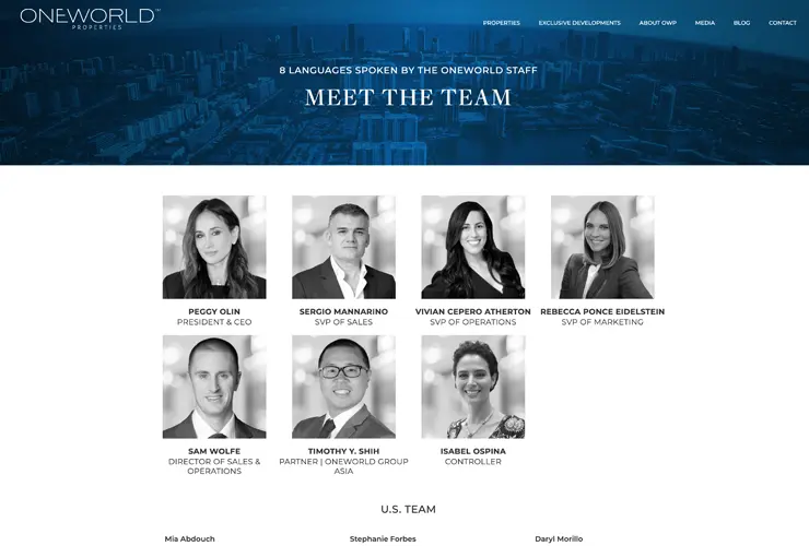 OneWorld Properties property search experience